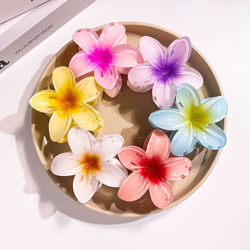 1/6 Uds 8CM pinzas para el cab - Women Accessories Wholesale China reseña y precio