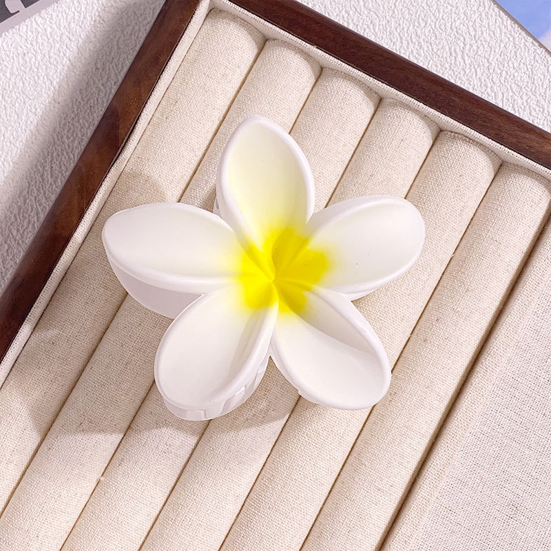 1/6 Uds 8CM pinzas para el cab - Women Accessories Wholesale China reseña y precio